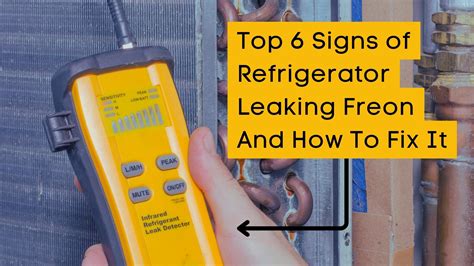 signs of freon leak in refrigerator|5 Signs of a Freon Leak in Your Refrigerator